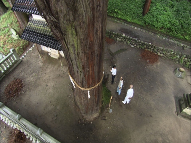 静止画　七椙神社3.jpg