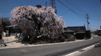 2015静止画7-3-3.jpg